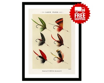 Trout Flies Vintage Fishing Poster from "Favorite Flies and Their Histories" by  Mary Orvis Marbury. Gift for Dad Man Fisherman Cabin Print