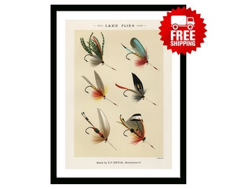 Trout Flies Vintage Fishing Poster from "Favorite Flies and Their Histories" by  Mary Orvis Marbury. Gift for Dad Man Fisherman Cabin Print