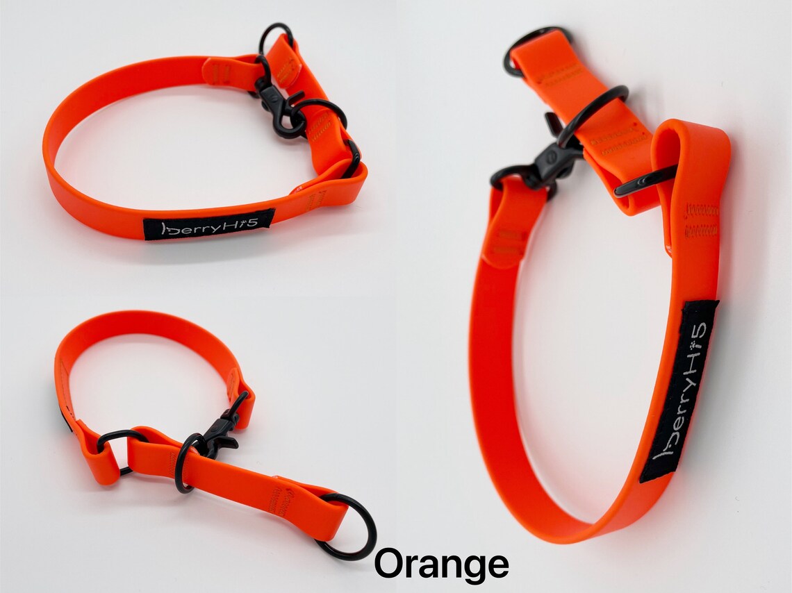 Waterproof Nopull Collar Half Choke Collar Beach Dog Etsy