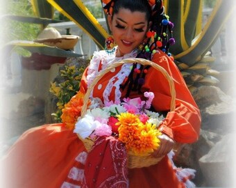 Custom Folklorico Headpiece, Mexican Braid, , Folklorico Braid, Trenza Folklorico, , Trenza, Braid, headpiece, tocado, trenza Mexicana