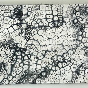 Abstract Black and White Painting, Cells - Etsy