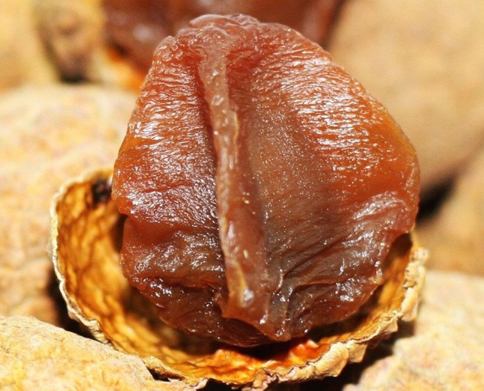Dried lychee fruit Famous specialty of Vietnam Bac Giang Etsy