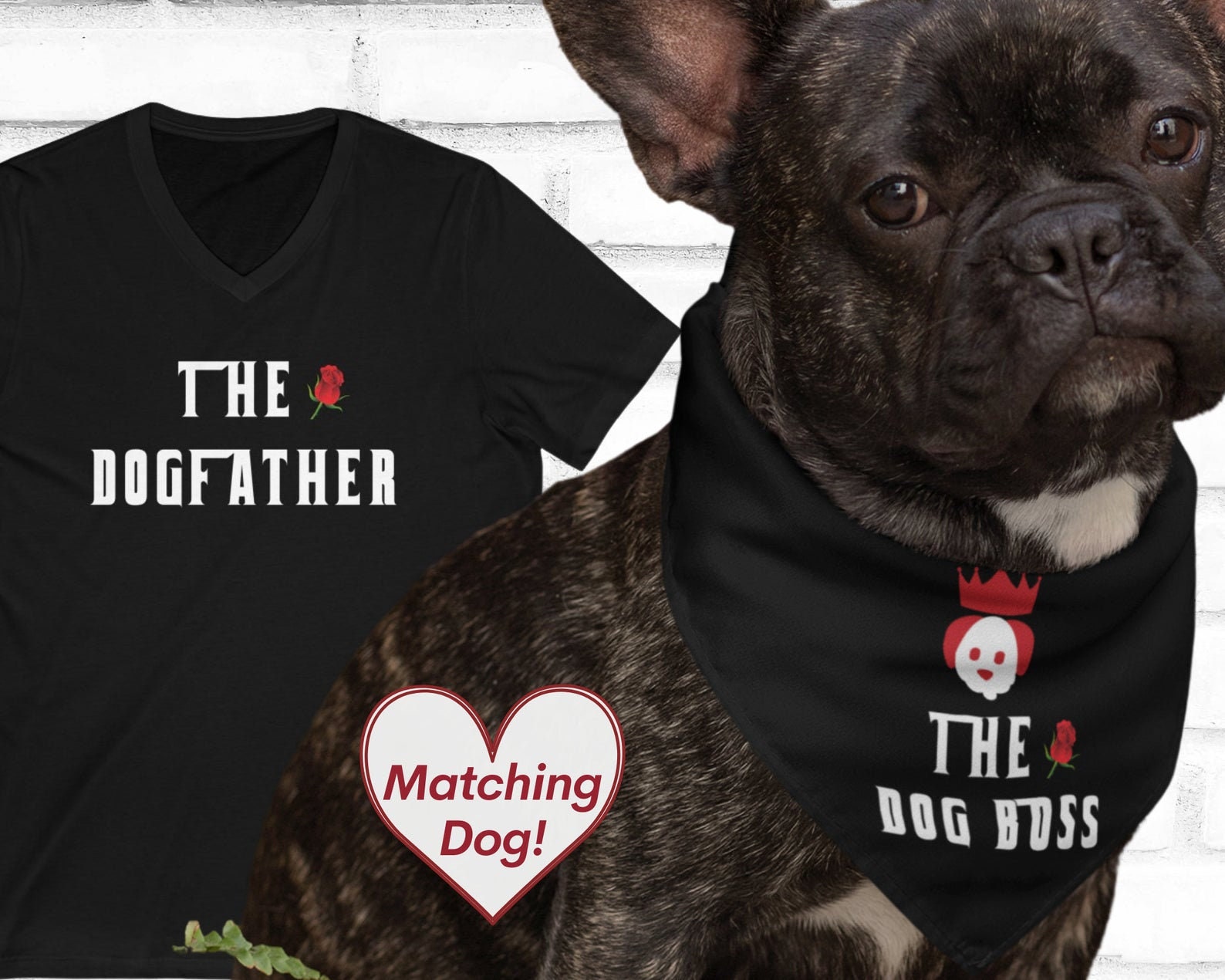 cat and owner matching shirts