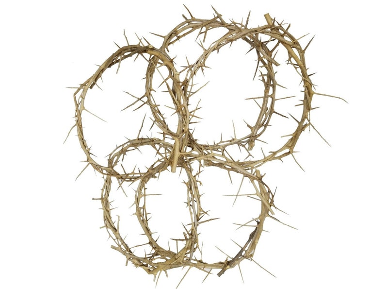 Authentic Crown Of Thorns From Jerusalem - 9" Holy Land Thorn Bush Replica, Cross Topper, Easter & Lent Decoration, Gift Boxed With Certificate - View #6