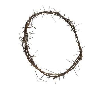 XL 23-25 Inch Authentic Jesus Crown of Thorns Replica from Jerusalem The Holy Land