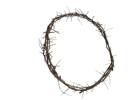 Authentic Crown Of Thorns From Jerusalem - 9" Holy Land Thorn Bush Replica, Cross Topper, Easter & Lent Decoration, Gift Boxed With Certificate - View #8