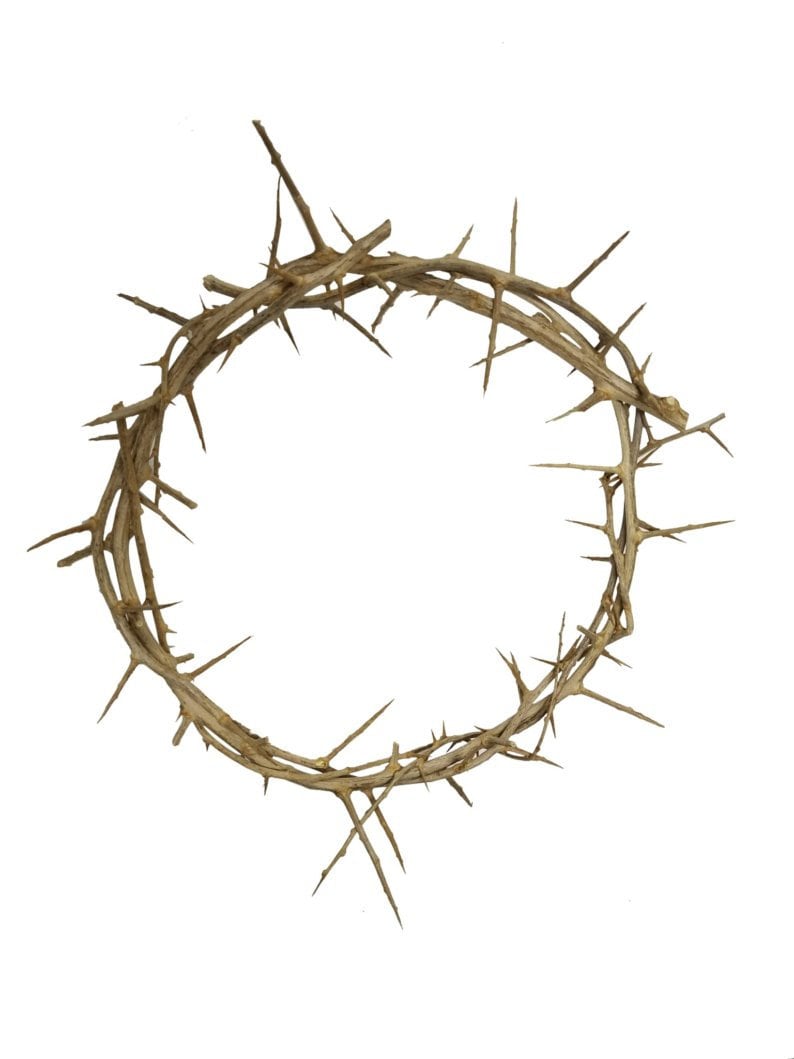 Mini 4-6 Inch Authentic Jesus Crown of Thorns Replica from Jerusalem The Holy Land