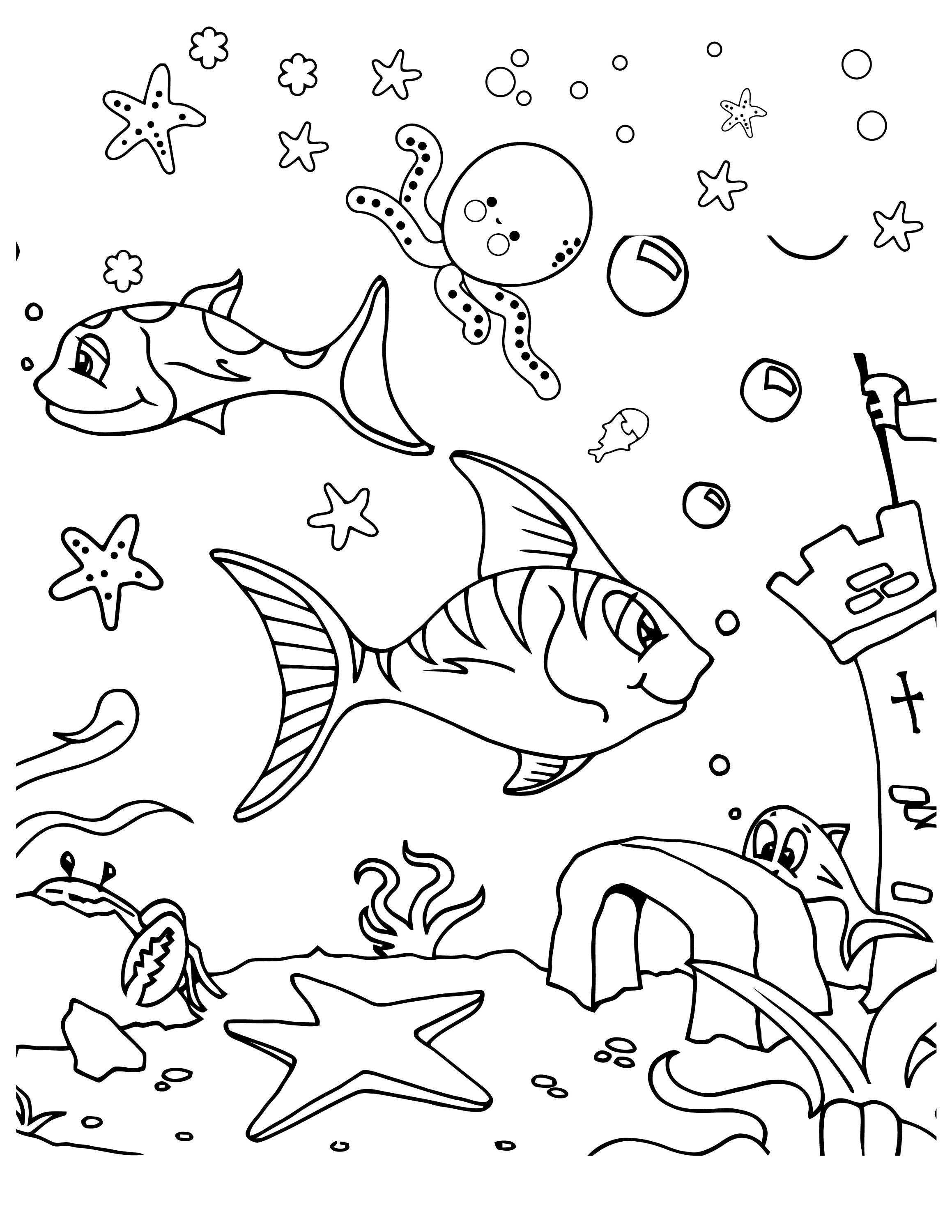 Dolphin Friends