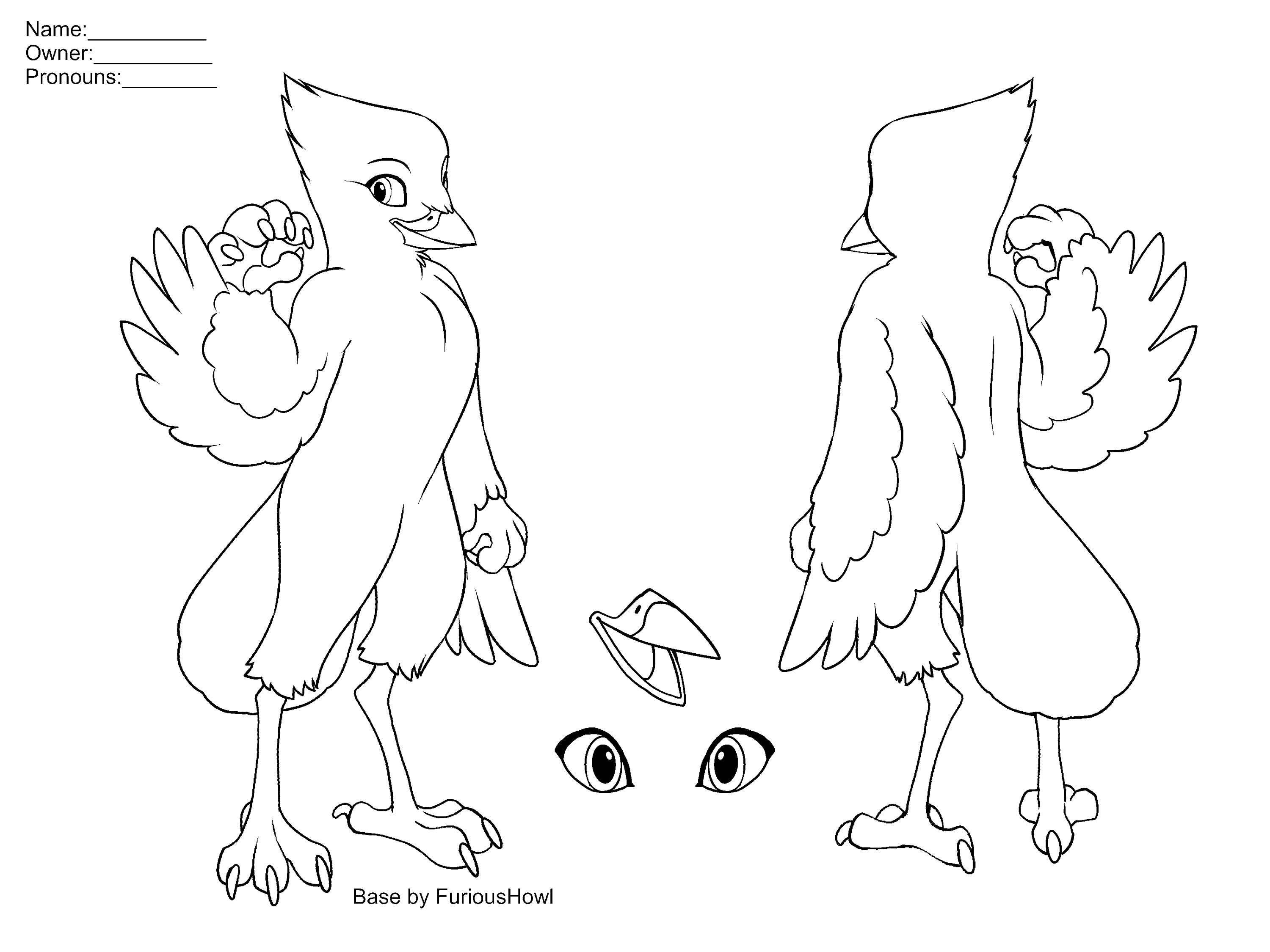 Blue Jay Fursona Base PSD File Etsy