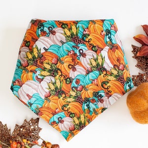 Elegante Pompoenen Pet Bandana