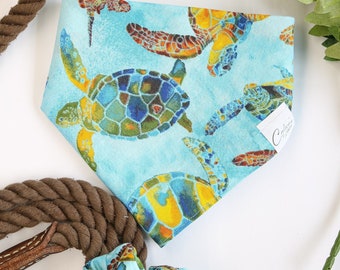 Bandana para mascotas de tortugas marinas