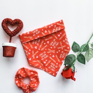 Bacon My Heart Pet Bandana