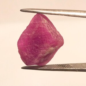 May include: A rough, uncut ruby gemstone, held by tweezers. The ruby is a deep pinkish-red color with a textured surface. The gemstone is irregularly shaped, with a slightly translucent appearance.