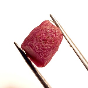 May include: A close-up of a deep red ruby gemstone held by tweezers. The ruby is a rough, unpolished stone with a slightly irregular shape.