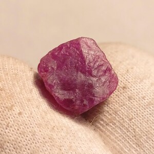 May include: A raw, uncut ruby gemstone. The ruby is a deep, vibrant pinkish-red colour with a textured surface. The gemstone is held against a white fabric background.