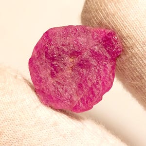 May include: A pink ruby gemstone with a rough, natural finish. The ruby is a flat, oval shape and is held in a gloved hand.