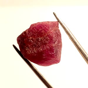 Puede incluir: Una piedra preciosa de rubí en bruto de color rosa oscuro sostenida por pinzas. El rubí es de un color rosa intenso y tiene un acabado natural sin pulir.