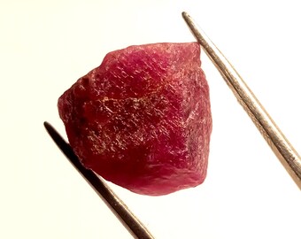 May include: A rough, dark pink ruby gemstone held by tweezers. The ruby is a deep, rich pink color and has a natural, unpolished finish.