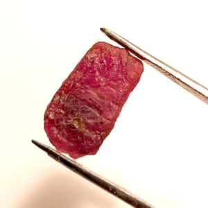 Può includere: Una pietra preziosa di rubino rosso intenso con una finitura grezza e naturale. Il rubino è tenuto da una pinzetta su uno sfondo bianco.