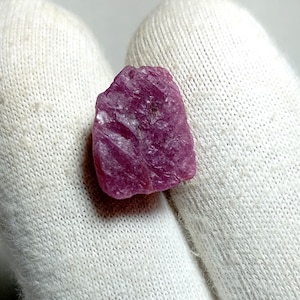 May include: A raw ruby gemstone, exhibiting a deep pinkish-red colour. The natural stone has a textured surface with visible crystalline structures. The ruby is held against a white fabric background, accentuating its colour and form.