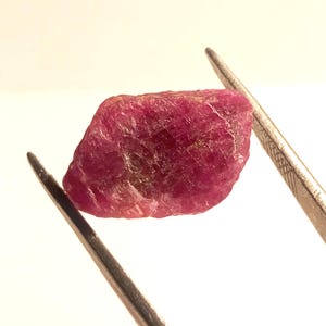 Puede incluir: Una piedra preciosa de rubí rojo intenso con un acabado rugoso y natural. El rubí está sujeto por unas pinzas sobre un fondo blanco.