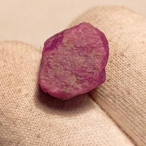 May include: A rough, uncut ruby gemstone, displaying a deep pinkish-red hue. The natural stone has a textured surface and irregular shape. The ruby is held against a white fabric background, highlighting its color and form.