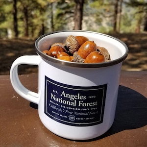 Angeles National Forest Legacy Nameplate Tin Cup