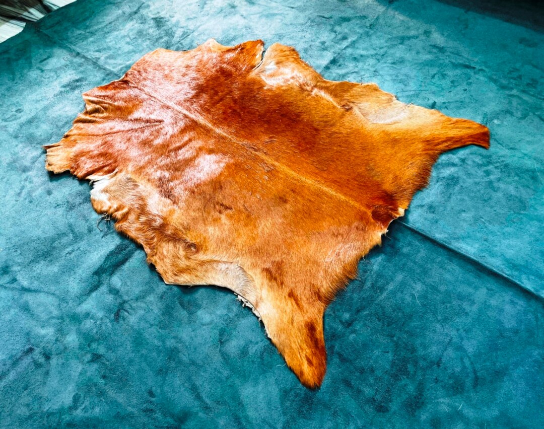 Goat Hide Rug: Shamanic Gothic Home Decor, 3x2 Ft - Etsy