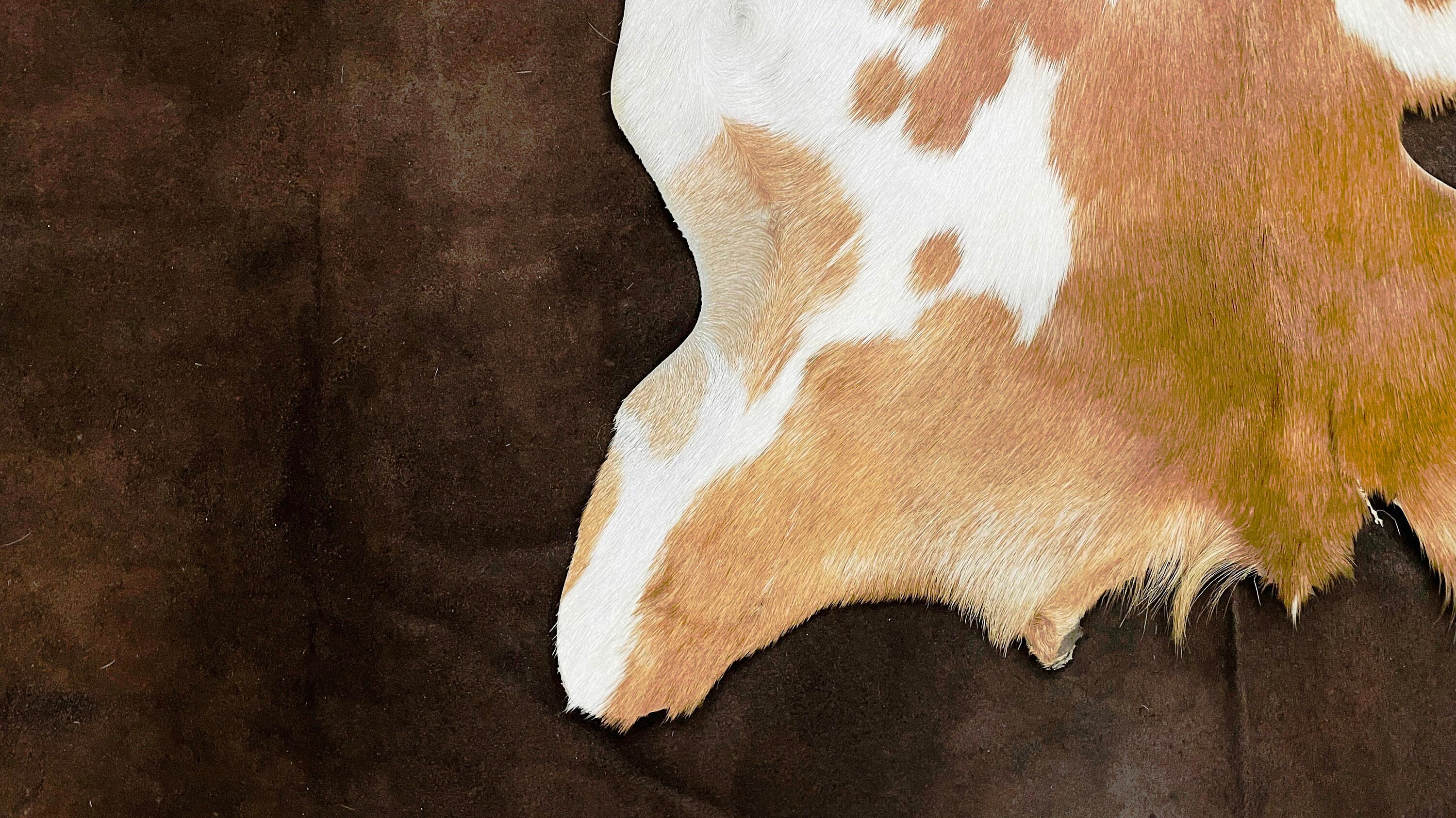 Goat Hide Rug: Ethically Sourced Taupe, Beige, Brown & White Fur - Etsy