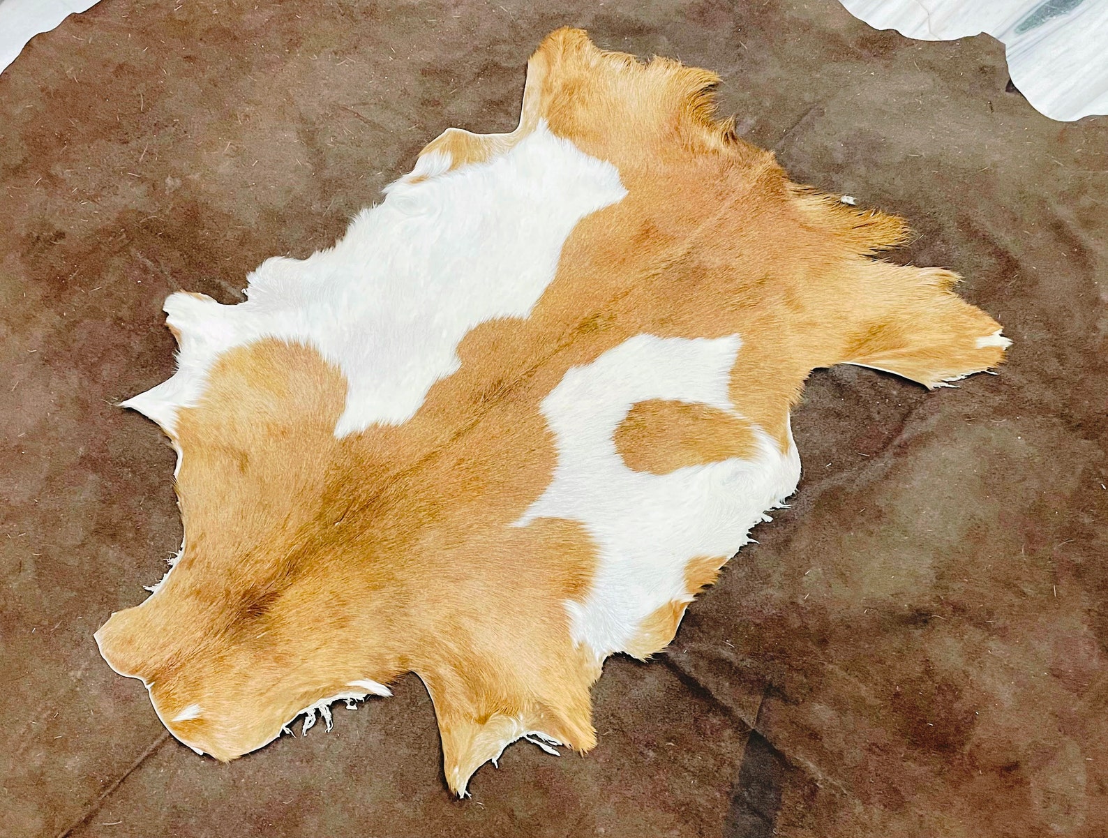 Goat Hide Fur, Scandinavian Rug, Geitenleer, Ziegenleder Teppich, 3x2 ...
