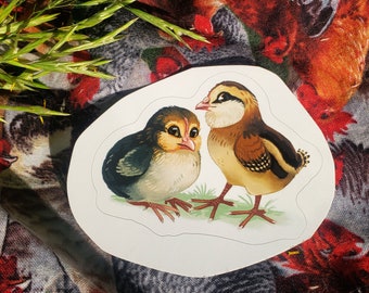 Chicks Vinyl Sticker