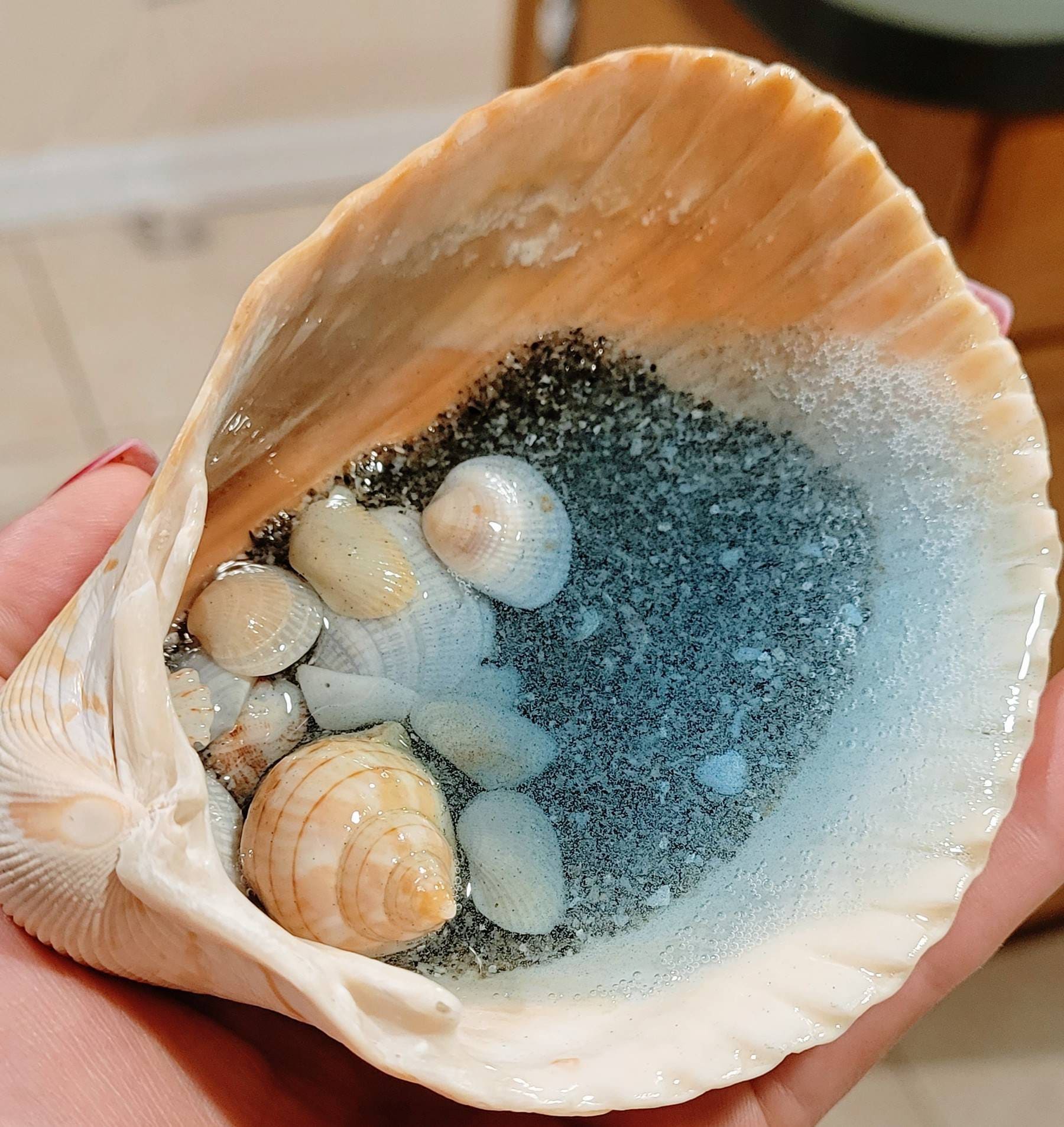 Resin Shell Art Etsy