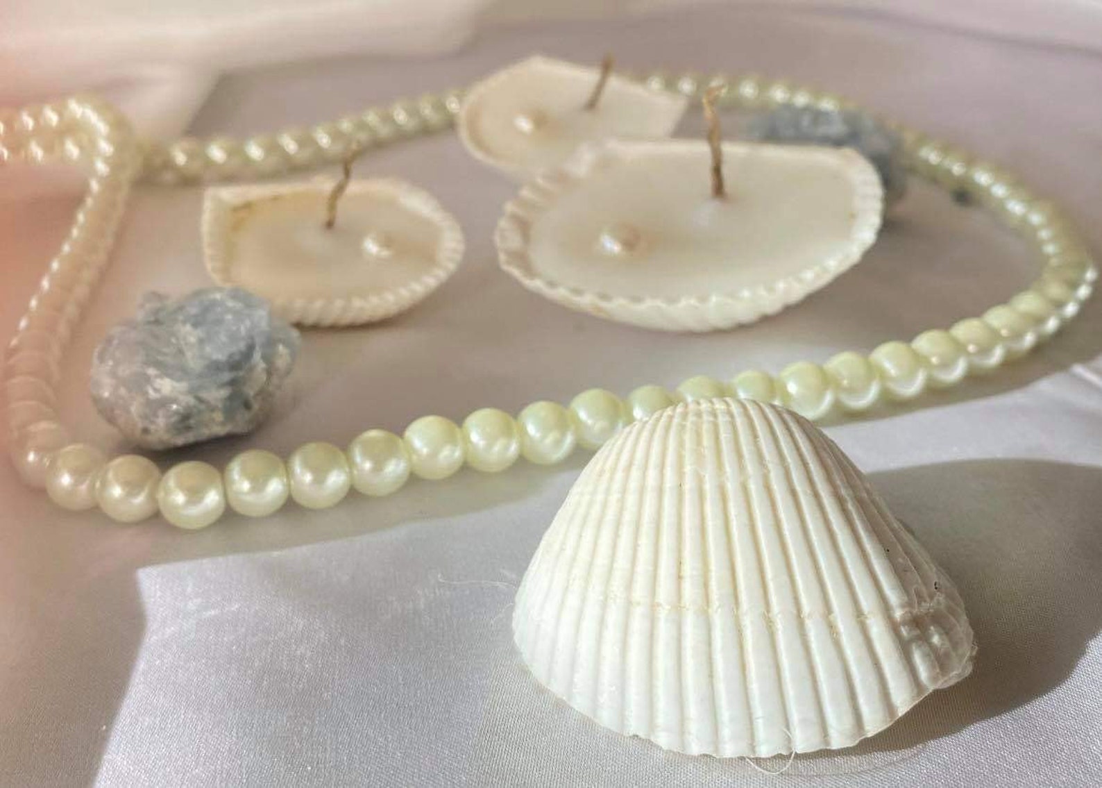 Aphrodites call seashell candle Etsy