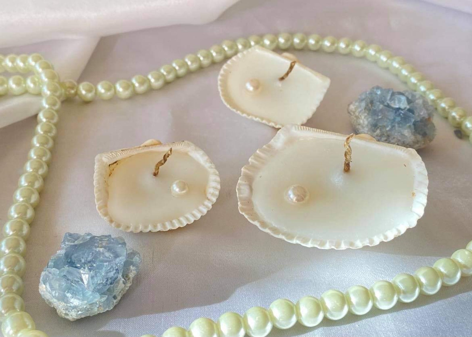 Aphrodites call seashell candle Etsy