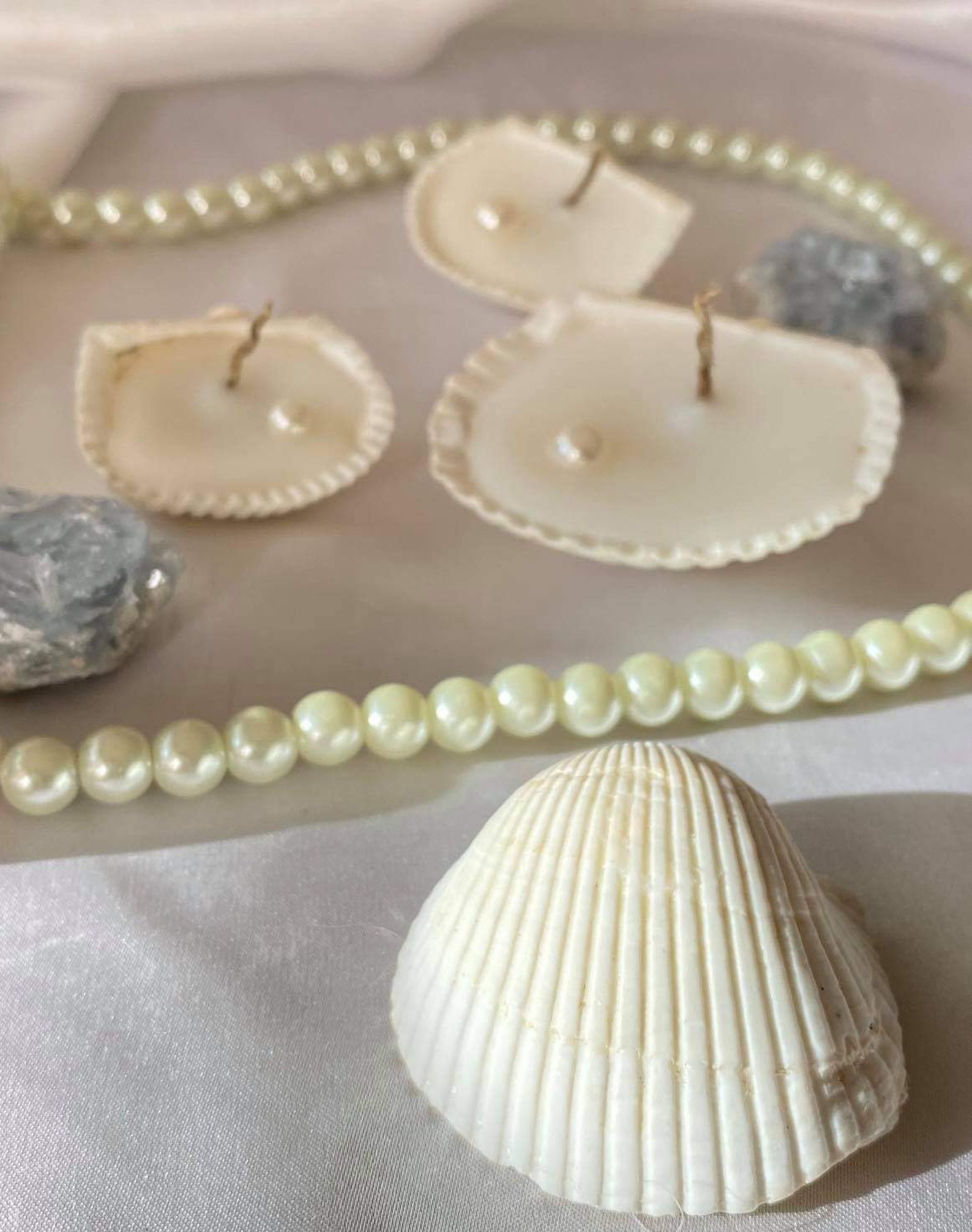 Aphrodites call seashell candle Etsy