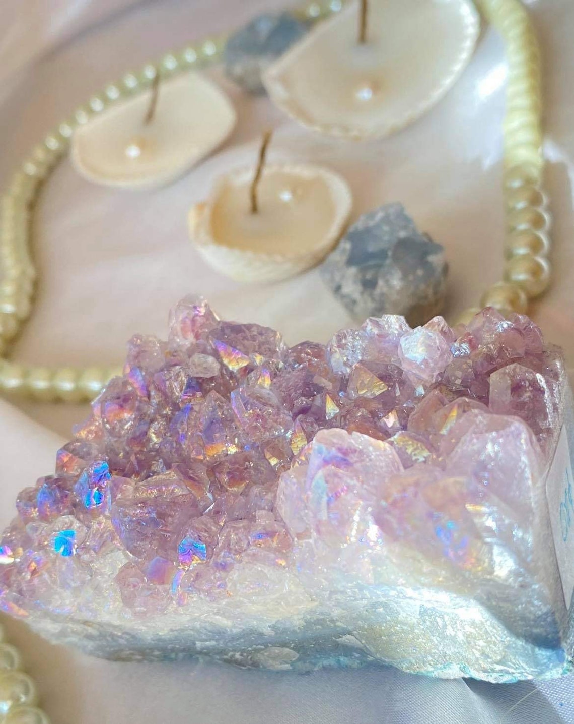 Aphrodites call seashell candle Etsy