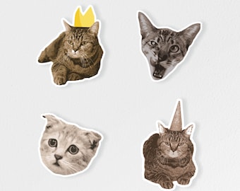 Funny Cat Expression Sticker Bundle, Cute Pet Stickers, Gift For Pet Owners, Unique Luggage Tag