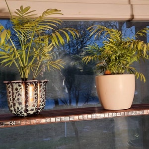 Op de afbeelding: Twee potplanten hangen aan een houten plank met een moza&iuml;ek tegelrand. De plank is aan het plafond gehangen met touw. De planten staan in potten van verschillende kleuren, een is zwart-wit en de andere is lichtroze.