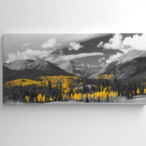 Aspen Forest in Autumn, Landscape Canvas Print – Nature Wall Art – Scenic Outdoor View for Rustic, Modern, or Minimalist Home Decor