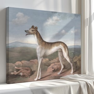 Canvasafdruk windhond: reproductie vintage William Sartorius