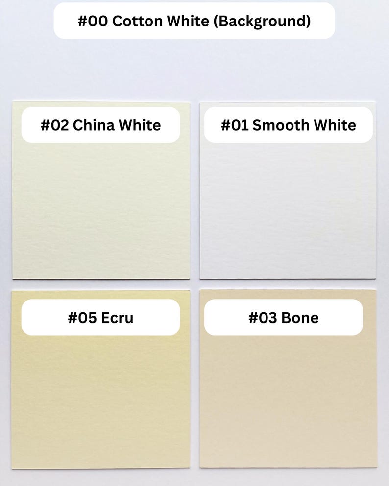 Może przedstawiać: Wzornik kolor&oacute;w zawierający cztery kwadratowe pr&oacute;bki oznaczone jako #02 China White, #01 Smooth White, #05 Ecru oraz #03 Bone, na tle #00 Cotton White. Każdy kwadrat prezentuje odrębny odcień bieli lub koloru kremowego.