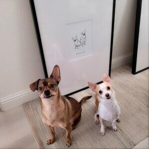 May include: A framed black and white line art print featuring a drawing of two small dogs connected by a leash. The artwork is displayed in a simple black frame. Below the drawing, the text reads "MY LITTLE DOGS" in a clean, minimalist font.