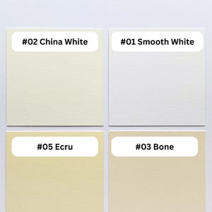 May include: A color swatch chart featuring four square samples labeled #02 China White, #01 Smooth White, #05 Ecru, and #03 Bone, set against a #00 Cotton White background. Each square displays a distinct shade of off-white or cream color.