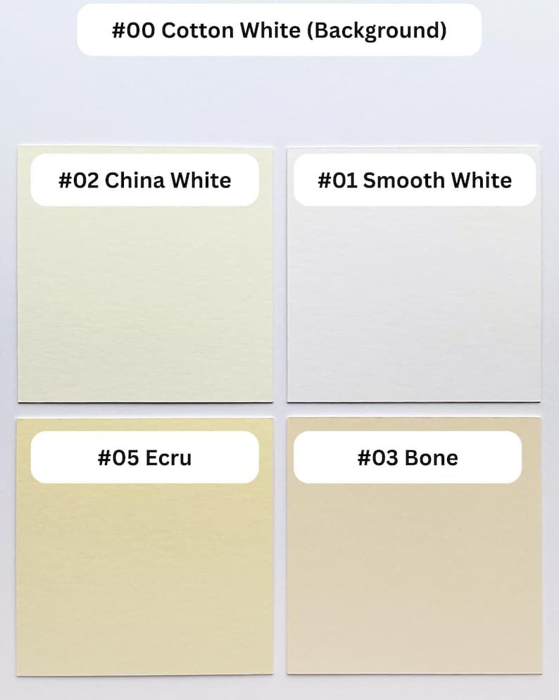 May include: A color swatch chart featuring four square samples labeled #02 China White, #01 Smooth White, #05 Ecru, and #03 Bone, set against a #00 Cotton White background. Each square displays a distinct shade of off-white or cream color.