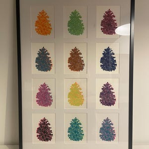 May include: A framed wall art piece featuring a grid of twelve individual prints of pinecones in various vibrant colors including orange, green, magenta, blue, brown, yellow, and teal, all set against a white background within a black frame.