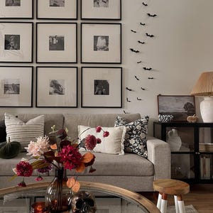 May include: A living room featuring a light gray sofa with striped and floral pillows, a glass coffee table with a floral arrangement, a skull, and a candle, a wall with nine framed black and white photos, and a vertical display of small black bats.
