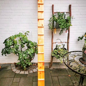 2 meter long cat ladder cat stairs cat furniture catwalk furniture for pets animal stairs cat tree cat ladder cat tree scala per gatti