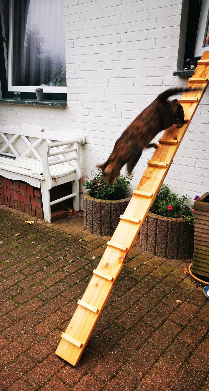 Scaletta per gatti Scale per gatti Mobili per gatti da 1 a 5 metri Tiragraffi Passerella per gatti Scale per gatti Rampa per gatti Balcone Accessori per gatti Tiragraffi Tiragraffi Tiragraffi immagine 3