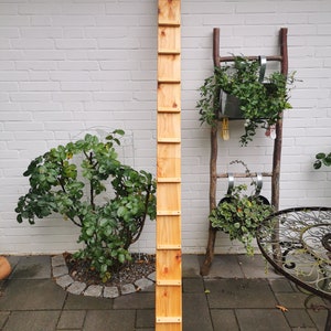 Pu&ograve; includere: Un'alta fioriera verticale in legno chiaro con pi&ugrave; ripiani rettangolari. &Egrave; progettata per contenere piante in vaso. La fioriera &egrave; posizionata all'aperto contro un muro di mattoni bianchi, con un cespuglio di rose e un tavolo decorativo sullo sfondo.