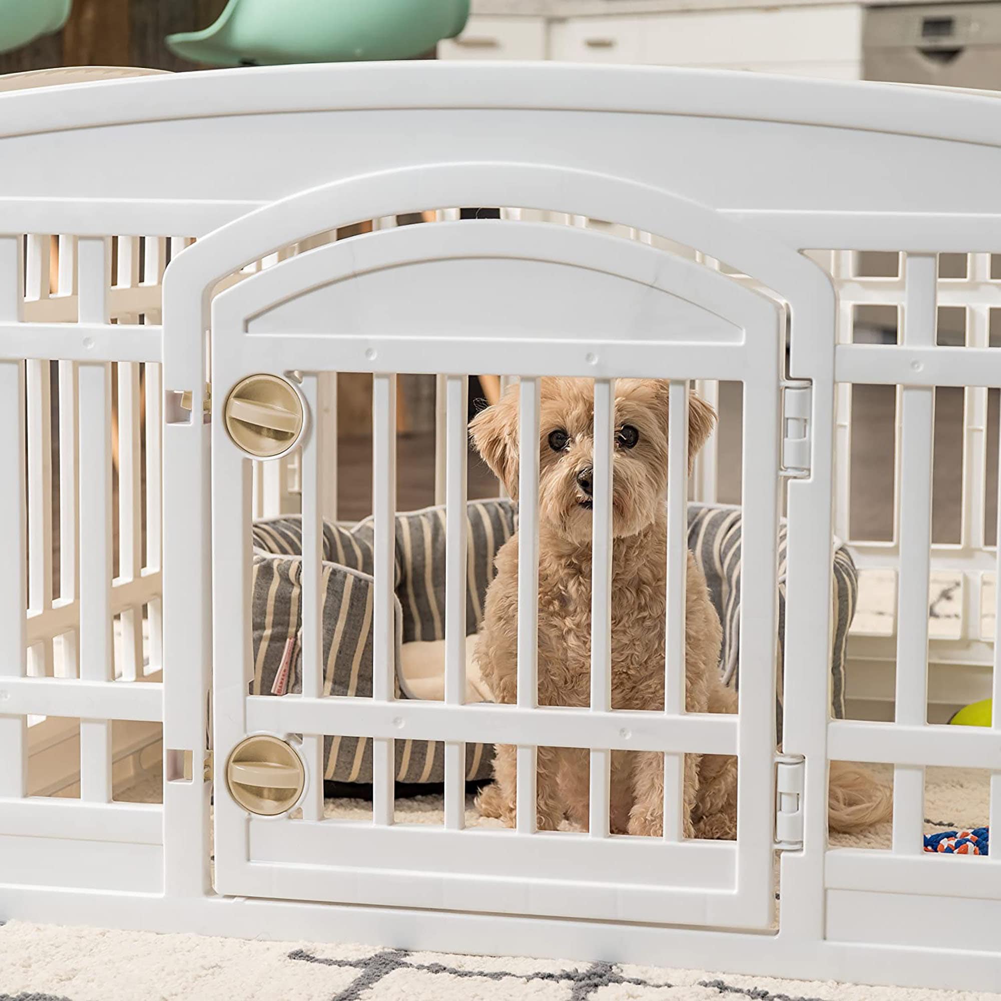 Exercise 8Panel Pet Playpen with Door Decorative Dog Kennel Etsy